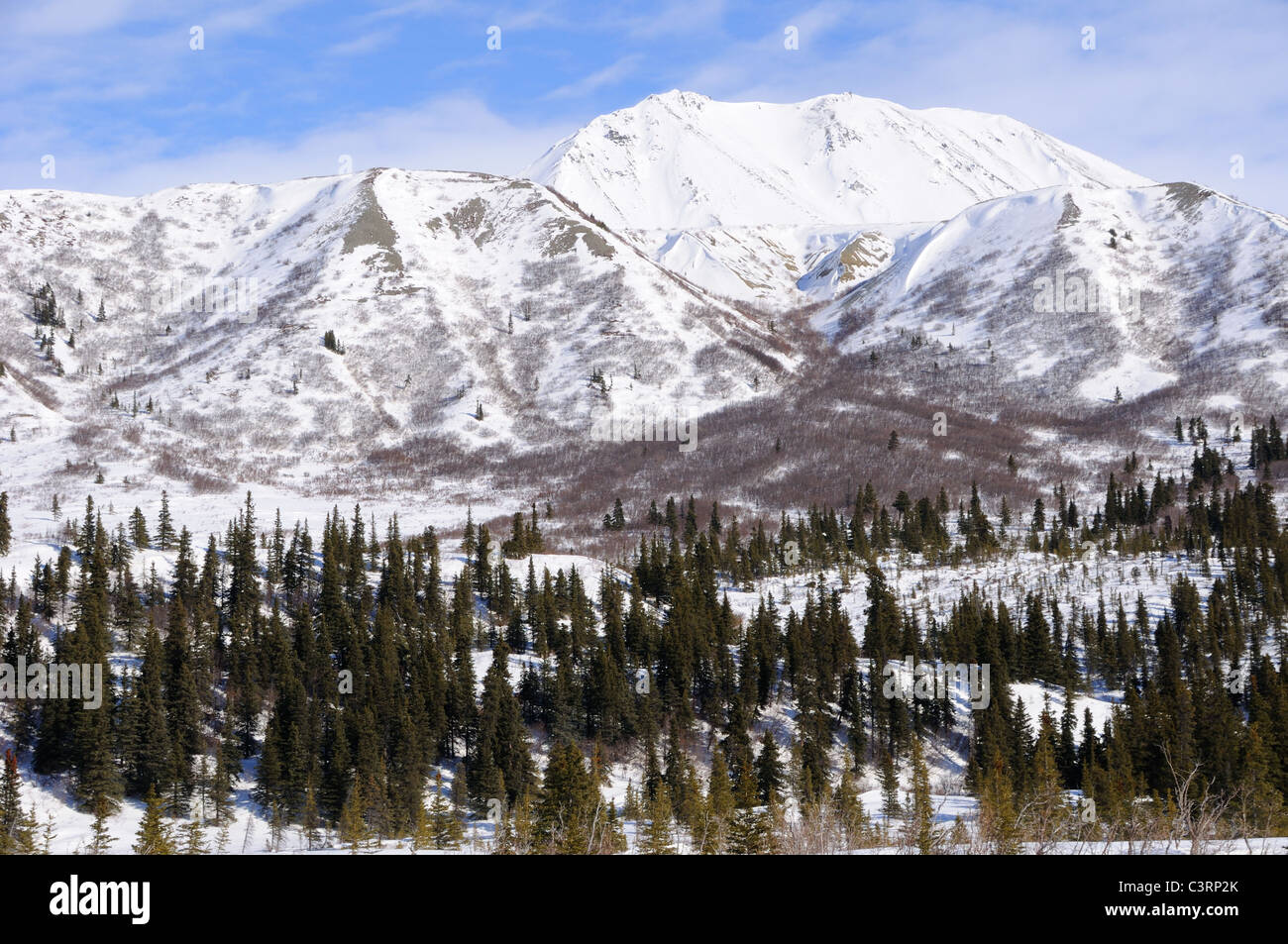 Mountain in Alaska Range in the Spring Stock Photo
