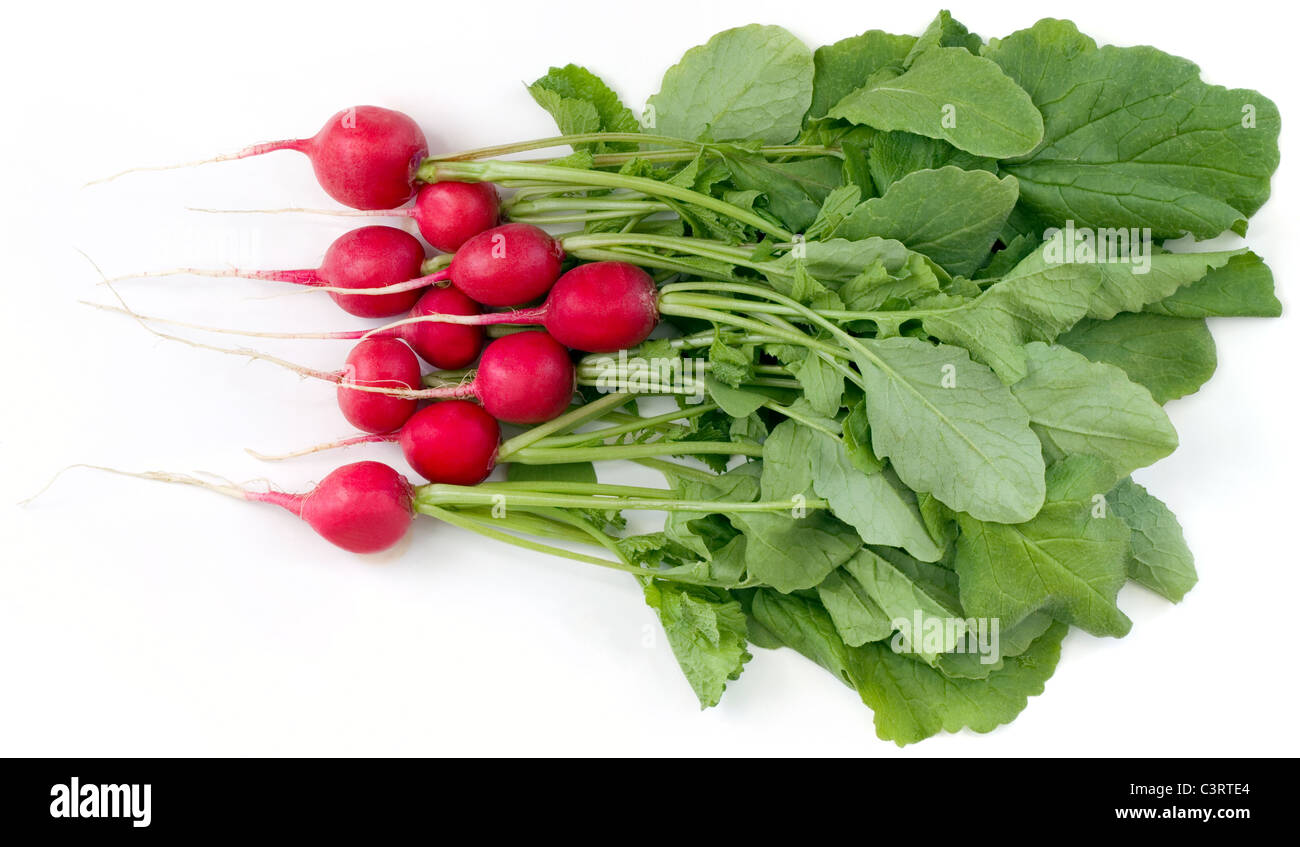 Bunch of red radish isolated on white background Stock Photo