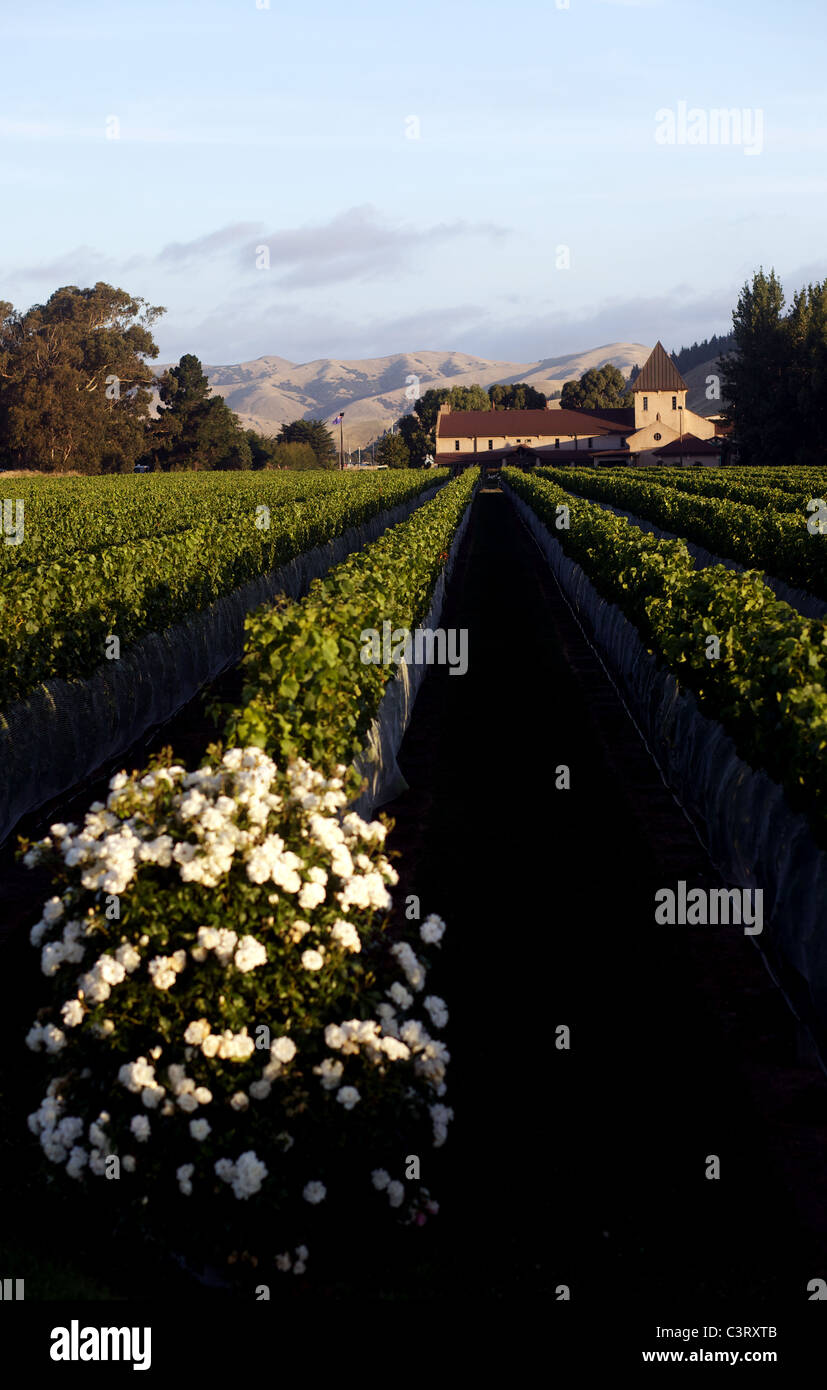 Riverlands walking hires stock photography and images Alamy