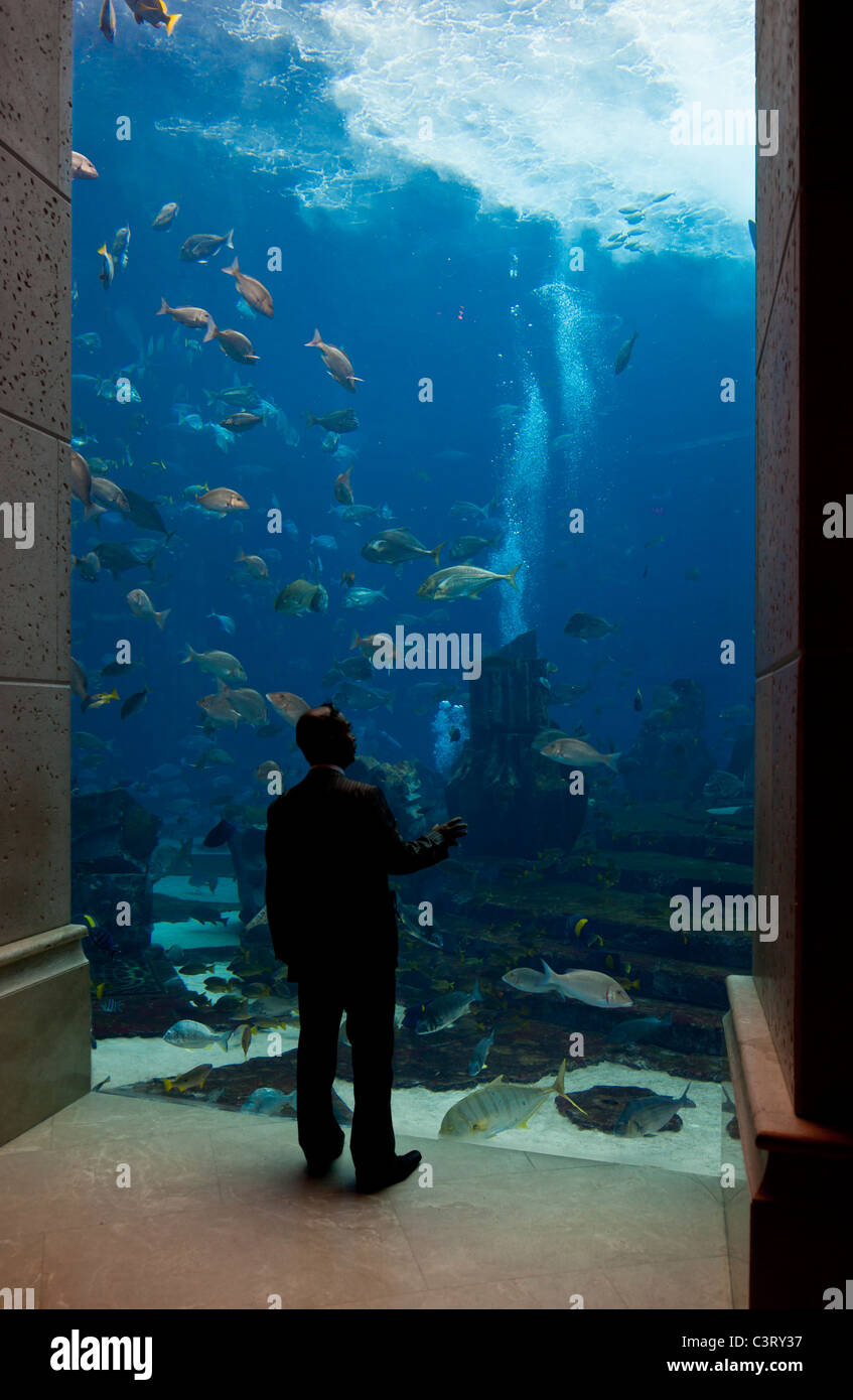 Aquaventure at atlantis the palm hi-res stock photography and images ...