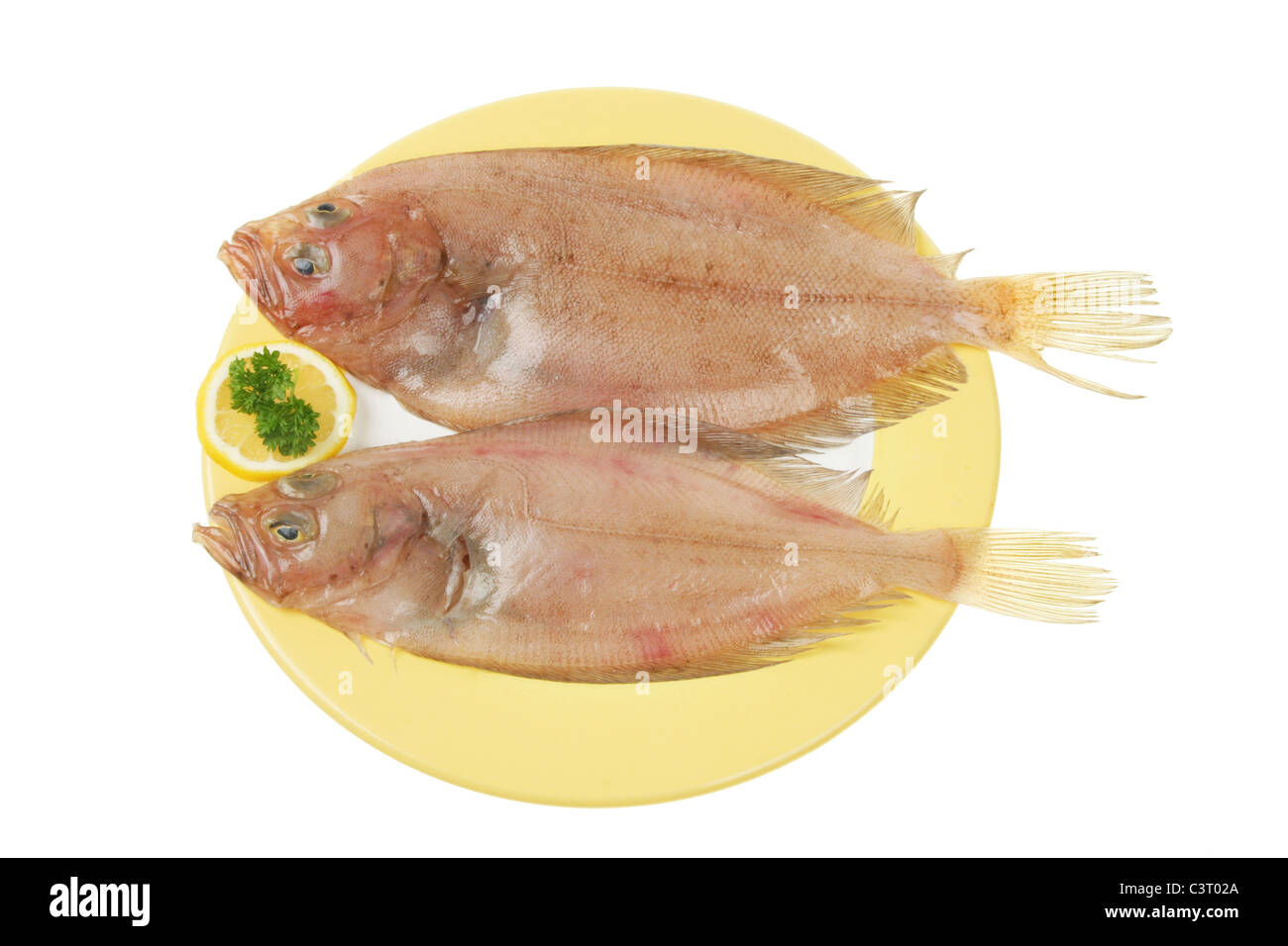 Two fresh megrim sole flatfish on a plate isolated on white Stock Photo