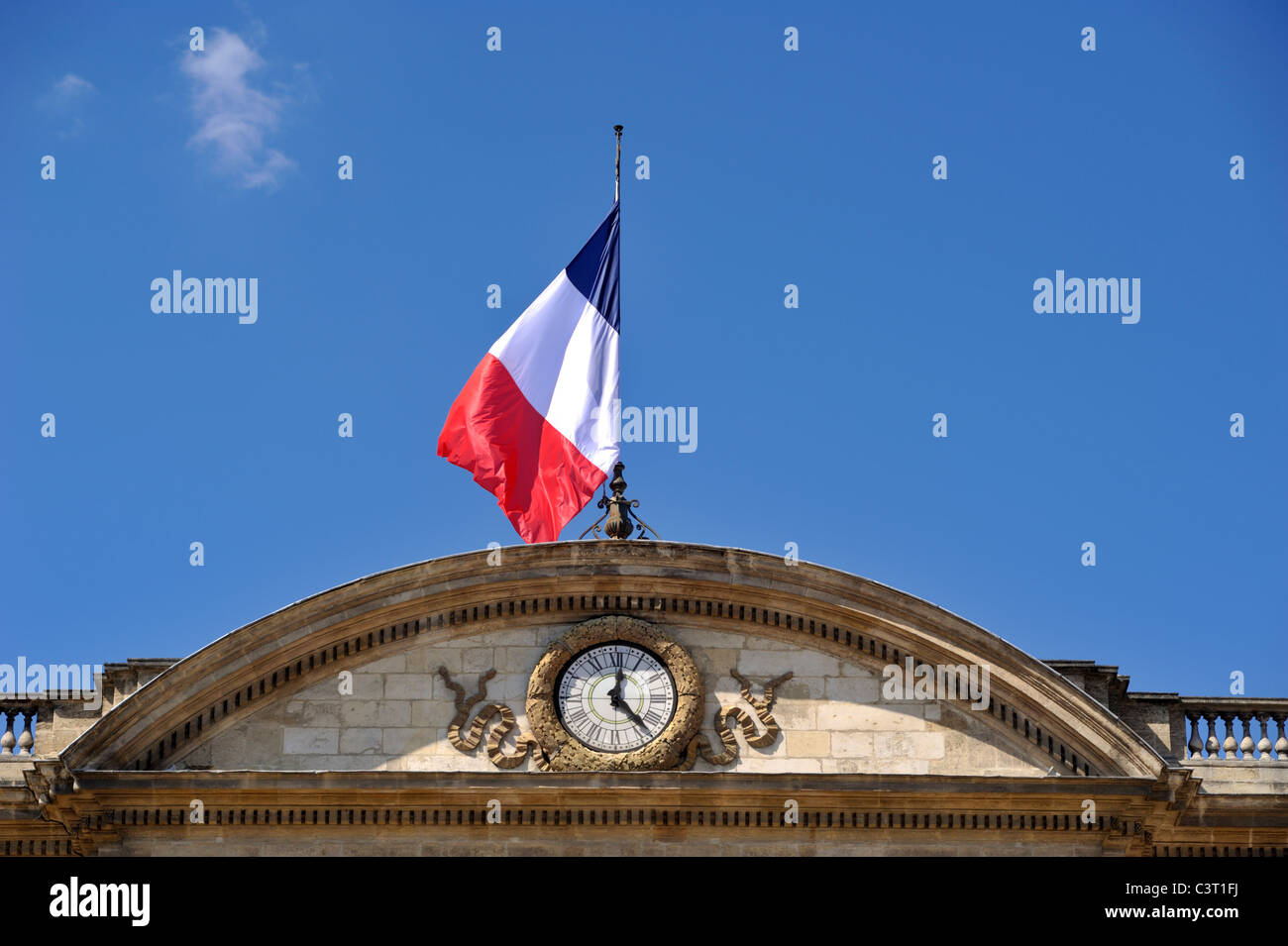 France, Bordeaux, Palais Rohan, town hall, french flag Stock Photo