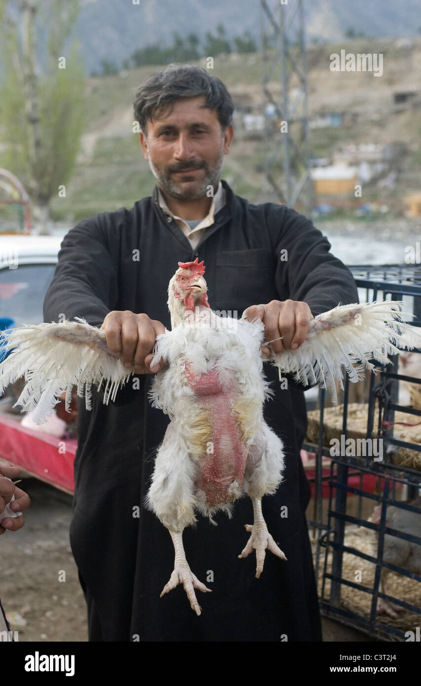 A man holds up a chicken for sale. Stock Photo