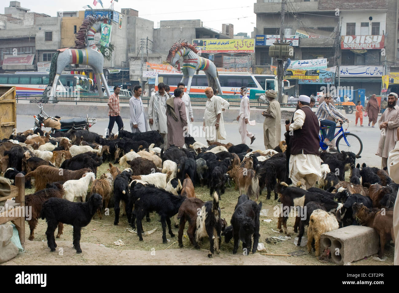 A street side goat market on Circular Rd outside the Old City. Stock Photo