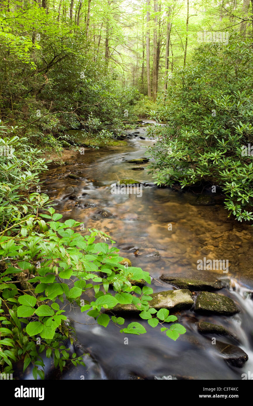 Cedar Rock Creek Pisgah National Forest near Brevard, North