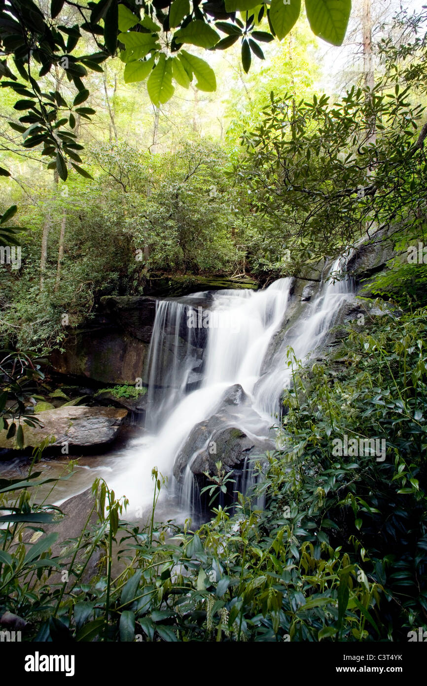 Cedar Rock Falls Pisgah National Forest near Brevard, North