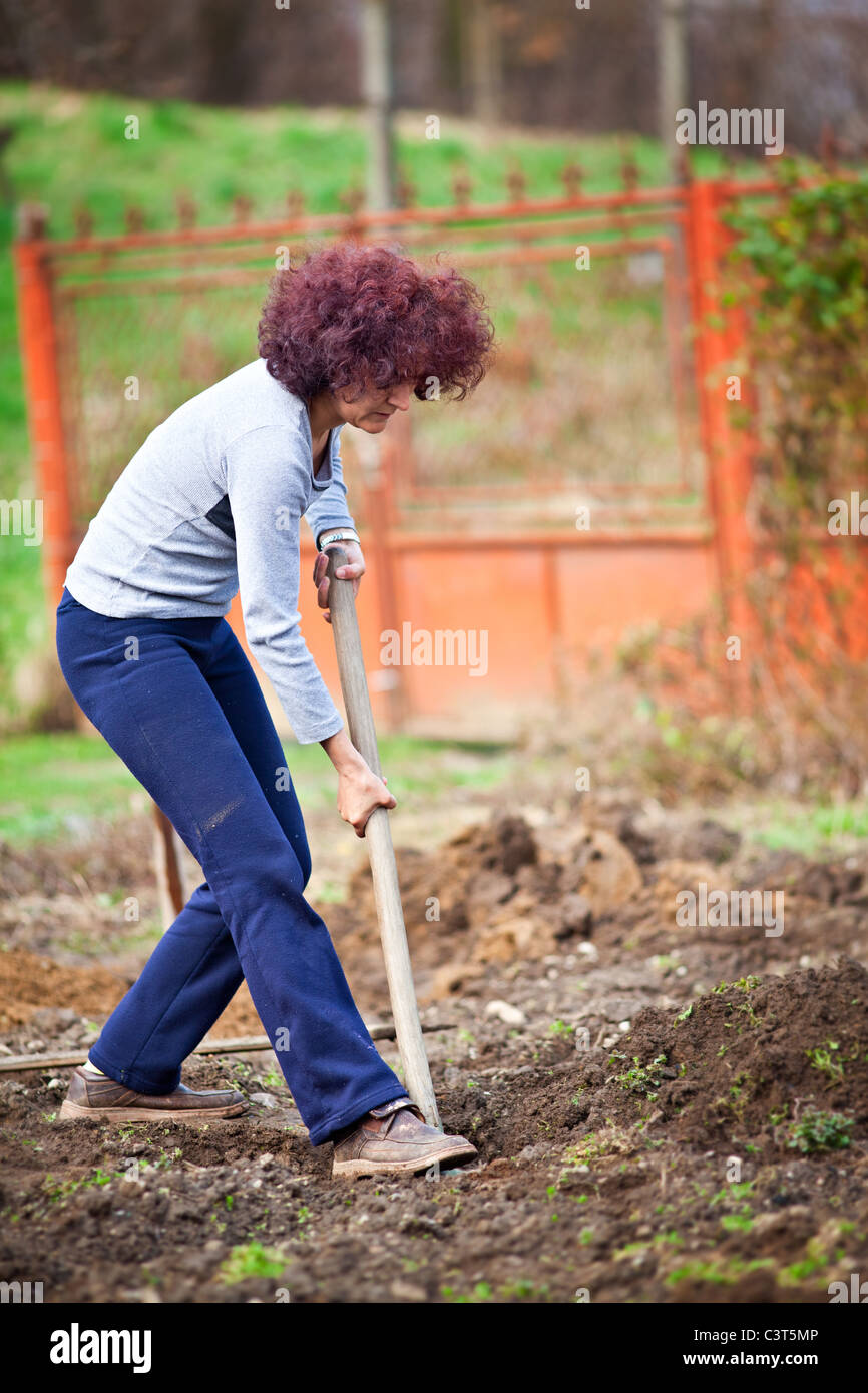 Young redhead woman digging into her garden for planting trees Stock ...