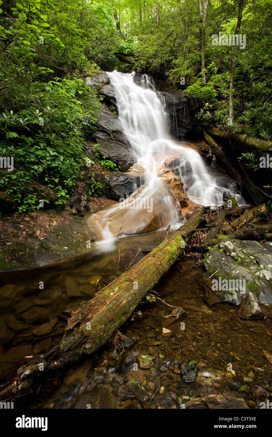 Log Hollow Falls Pisgah National Forest near Brevard, North