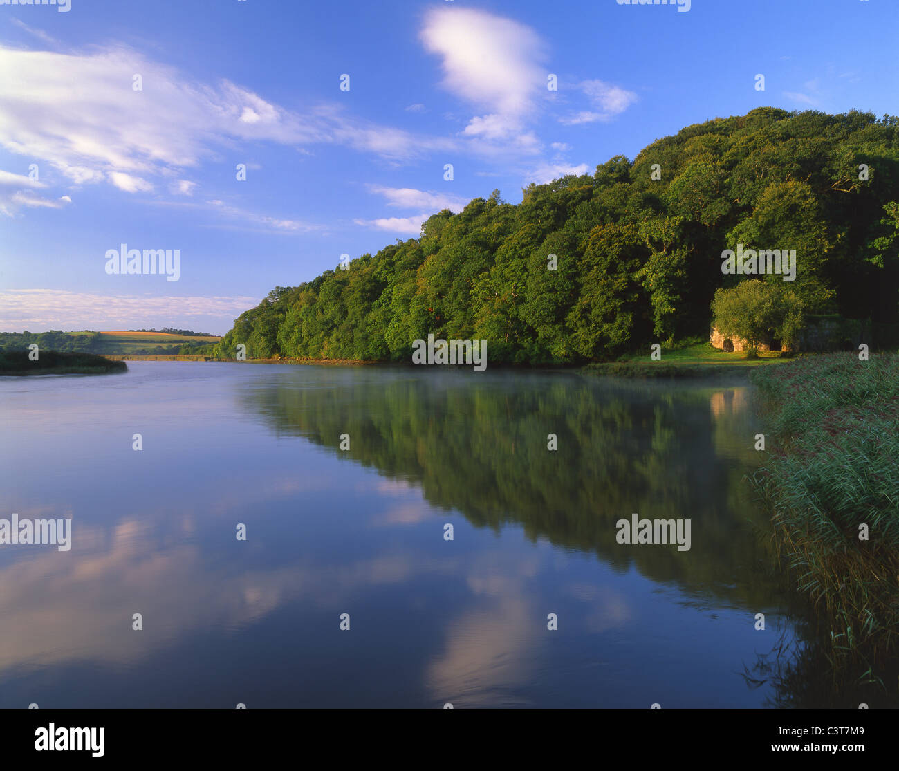 Early Morning reflections on the River Tamar at Cotehele Quay,Cornwall Stock Photo