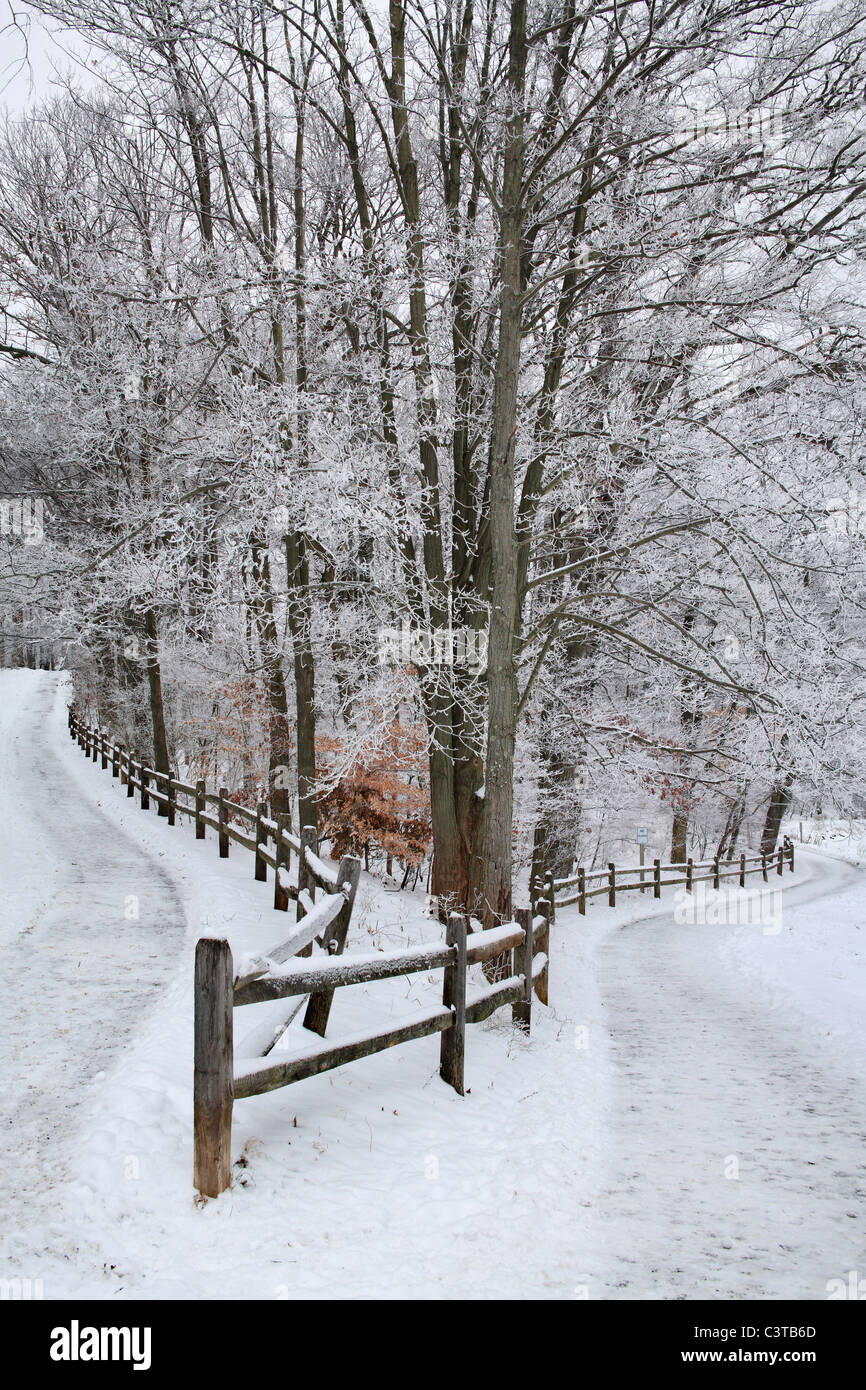 Fences and trees hi-res stock photography and images - Alamy
