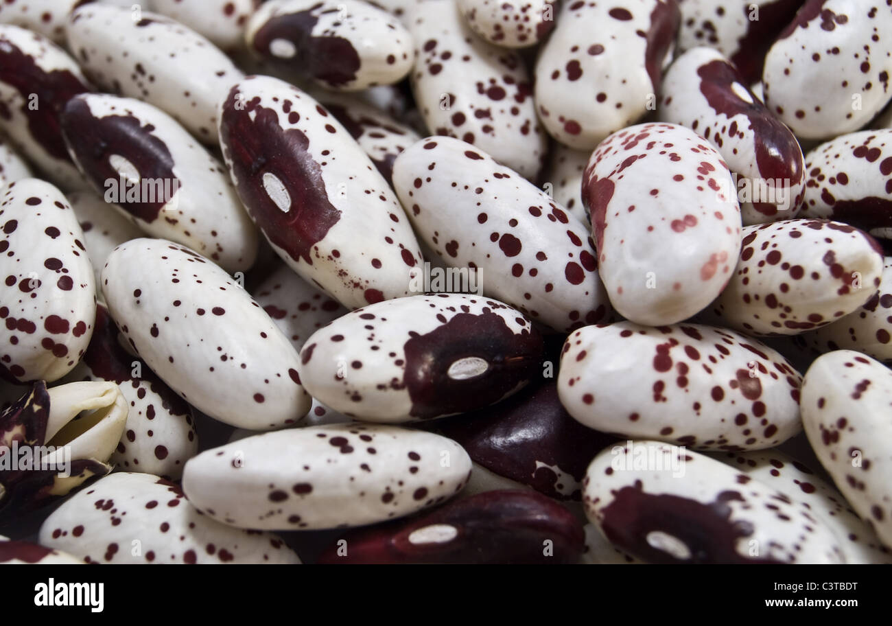 background is from kidney bean Stock Photo