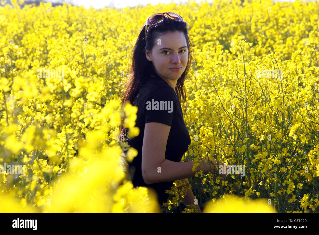 Yellow rapeseed field hi-res stock photography and images - Alamy