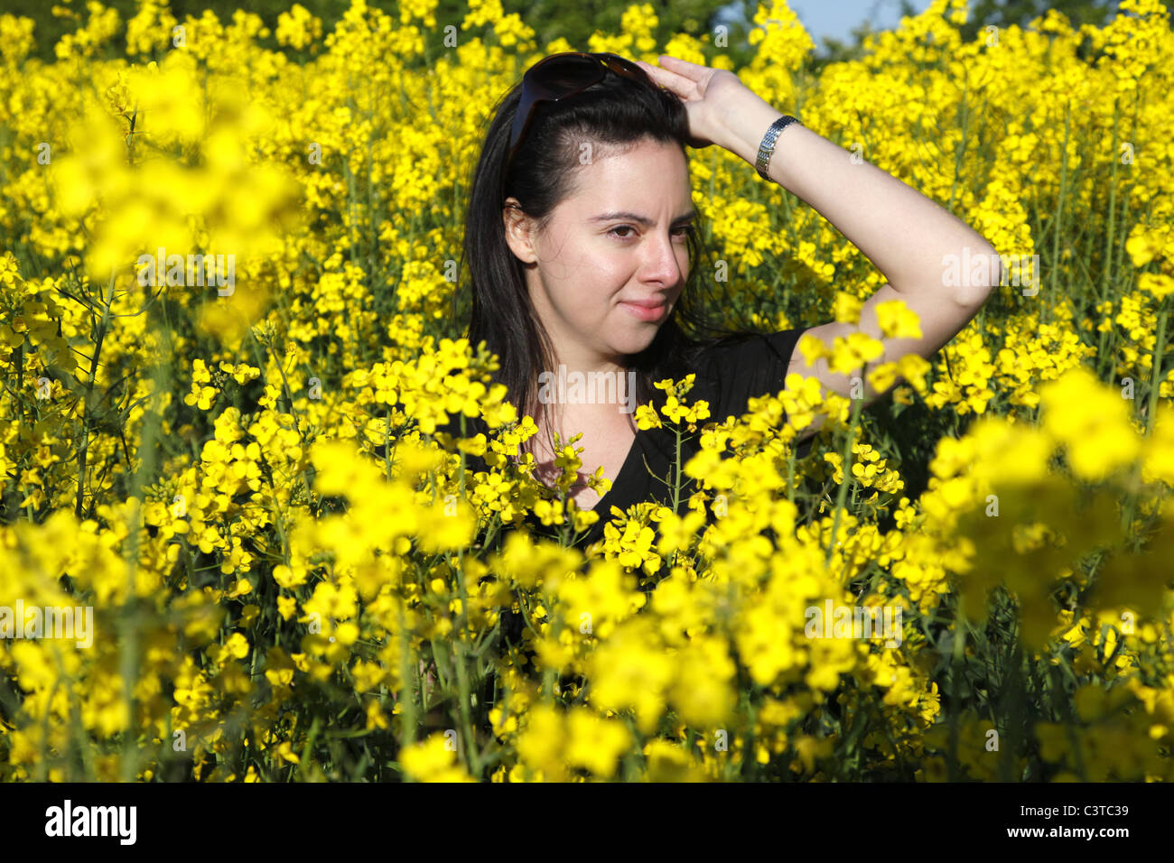 Yellow rapeseed field hi-res stock photography and images - Alamy