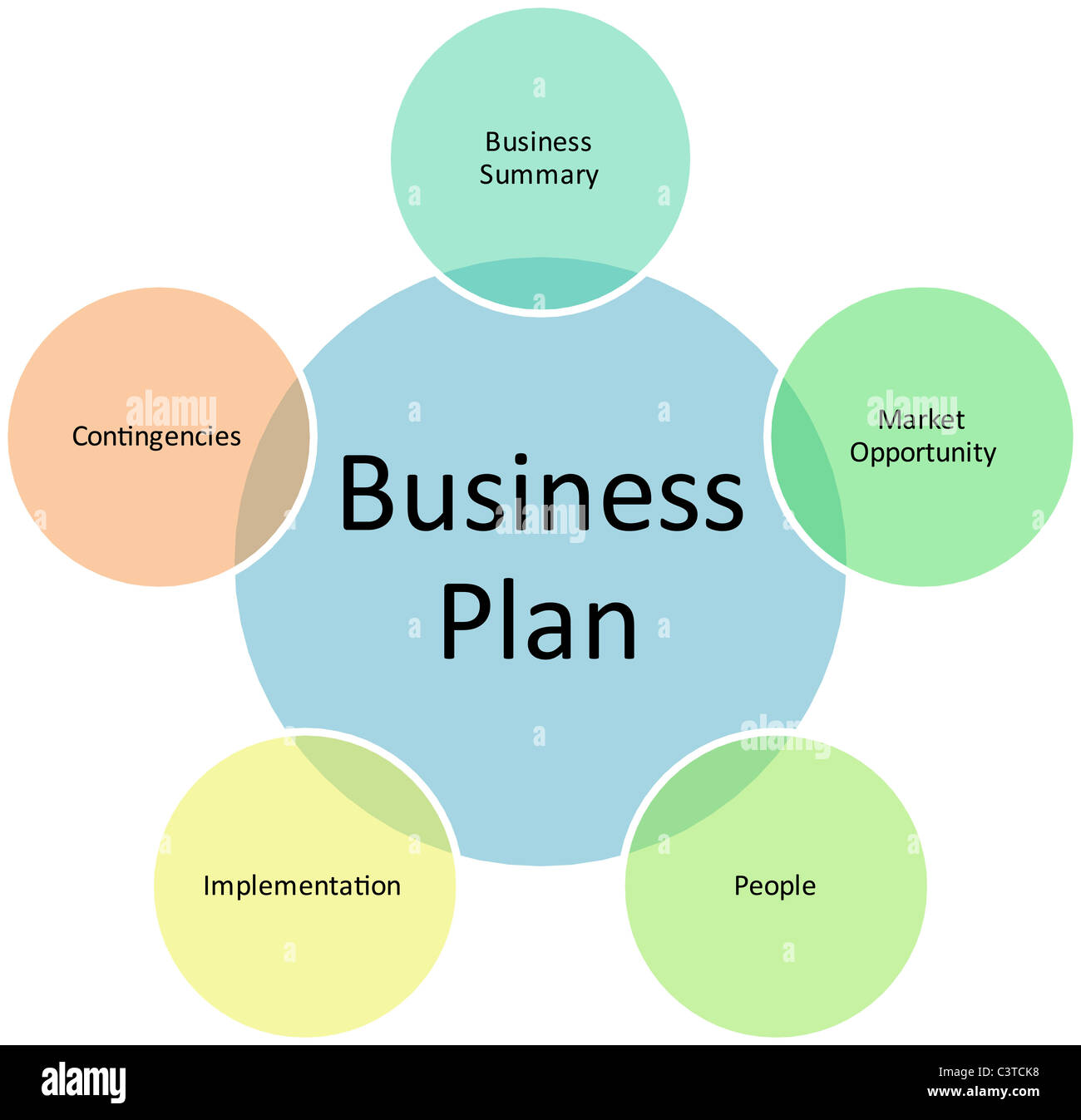 ownership and management plan in business plan