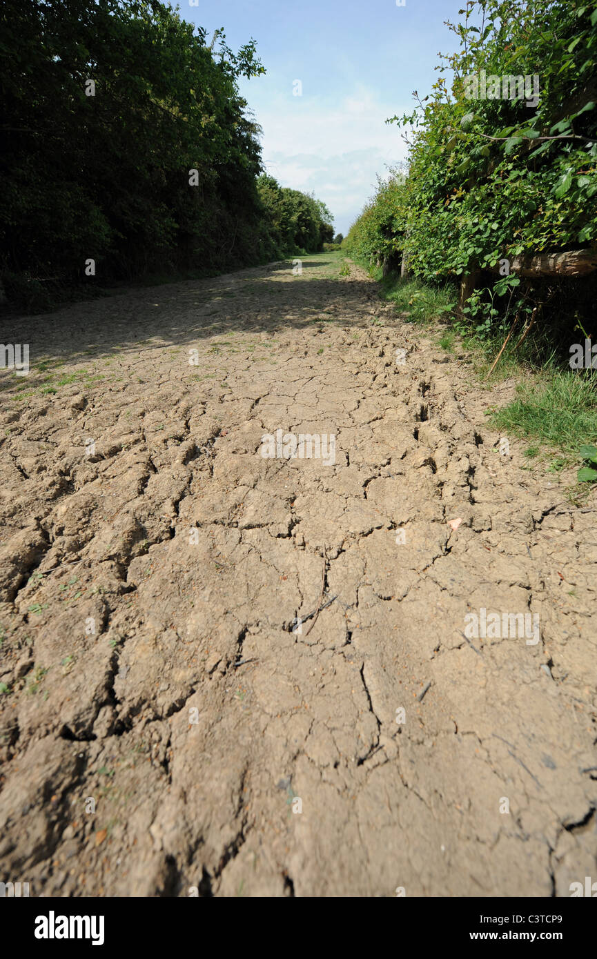Reservoir uk dried hires stock photography and images Alamy