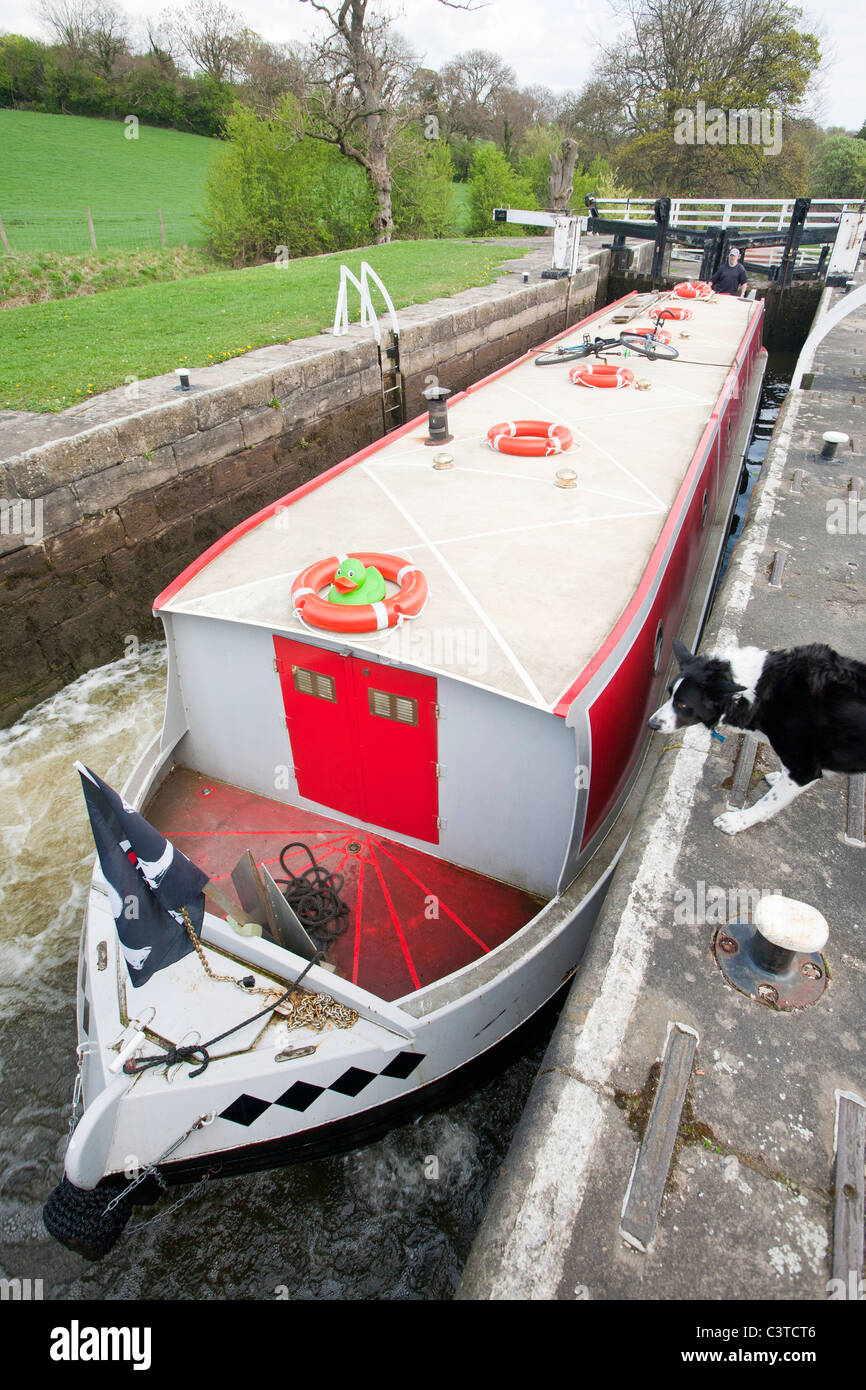 A narrow boat in locks on the Leeds Liverpool canal near Saltaire in