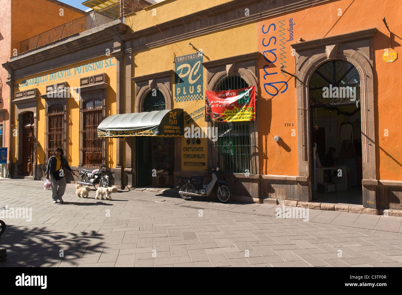 Elk1873010 Mexico, San Luis Potosi, street scene, woman walking 2 pet