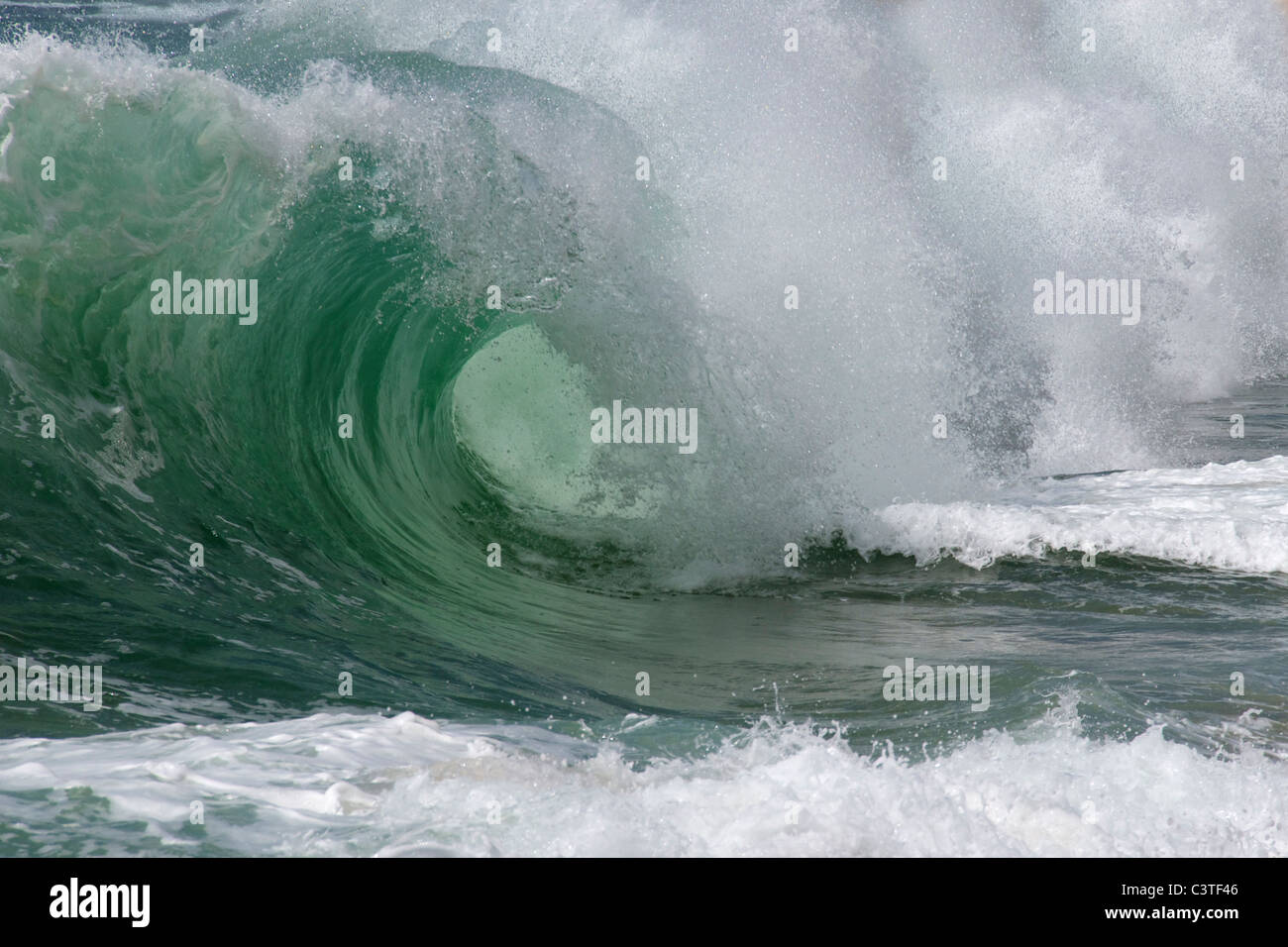 Huge curling wave Indian Ocean South Coast Sri Lanka Stock Photo