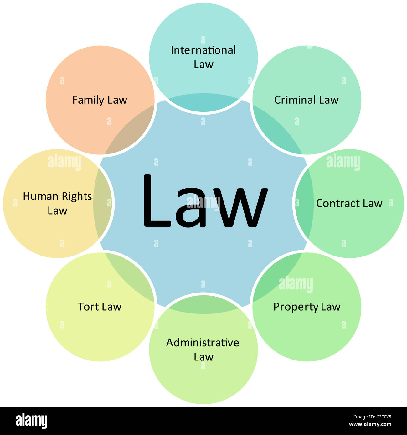 Family law. International humanitarian law. Areas of law урок. The main branches of mathematics. Un org chart.