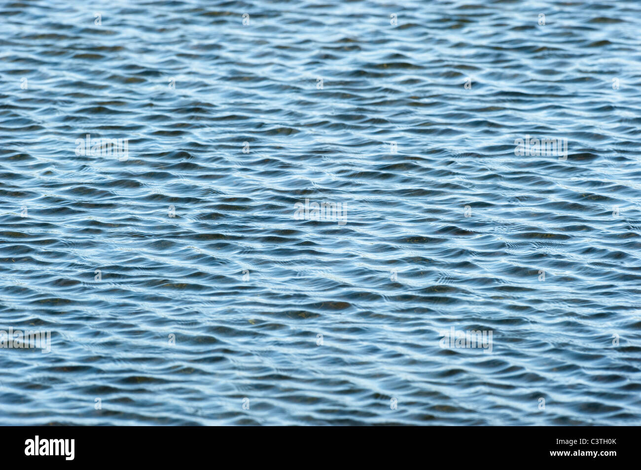 Ripples on surface of small pond. Stock Photo