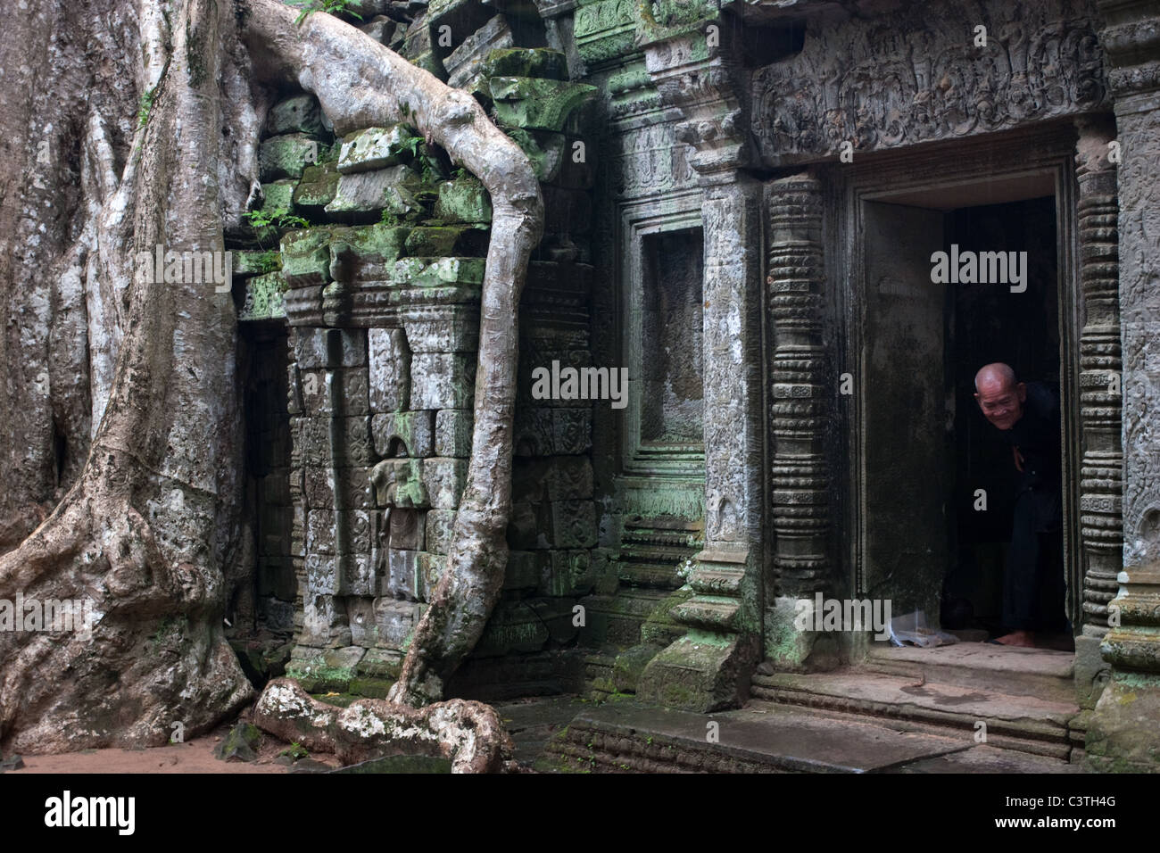 An old temple carer at Ta Prohm temple in Angkor, Cambodia Stock Photo