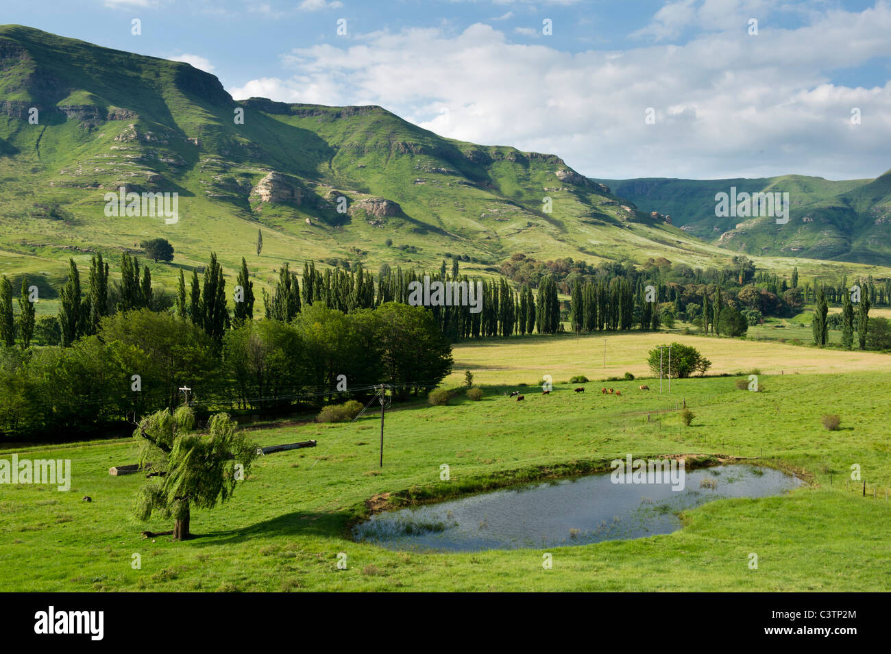 Scenery outside Clarens, Free State, South Africa Stock Photo