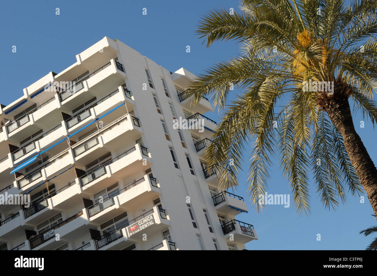 Dentist San Antonio Ibiza  : Our Skilled San Antonio Dental Staff.