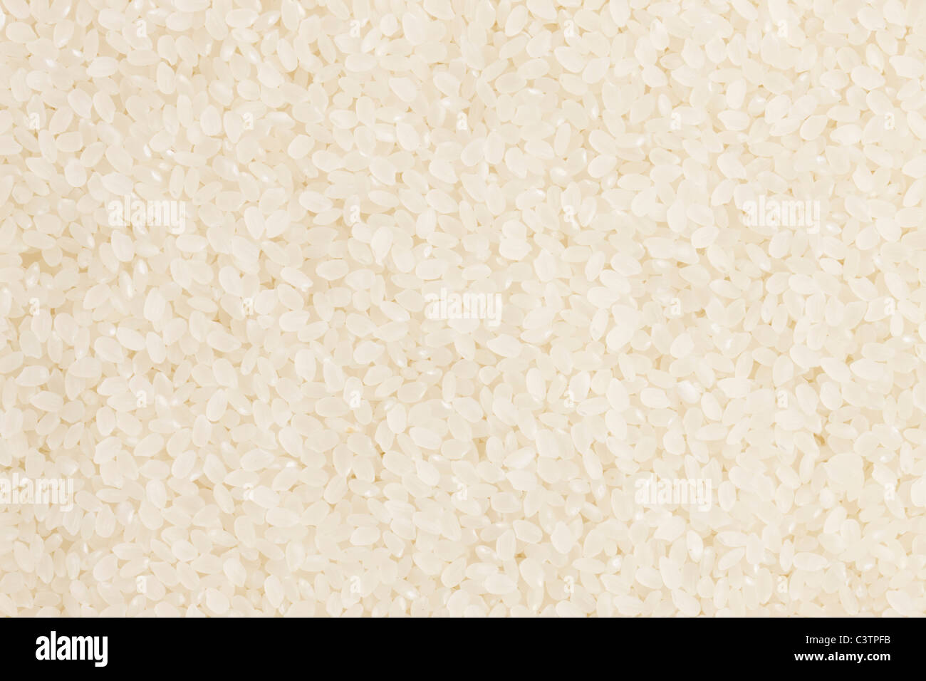 White Rice Stock Photo