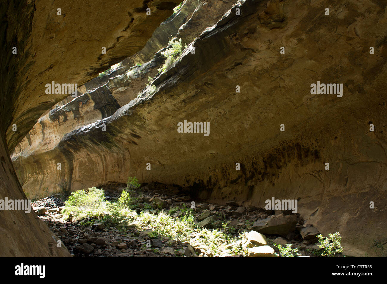 Echo Ravine, Golden Gate Highlands National Park, South Africa Stock