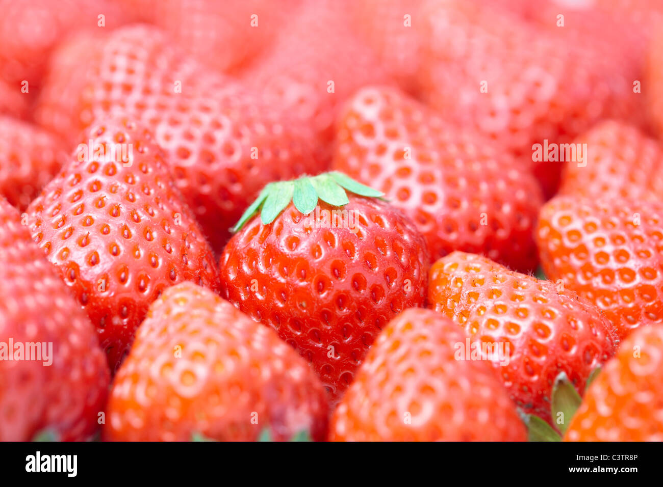 Strawberries full frame hi-res stock photography and images - Alamy