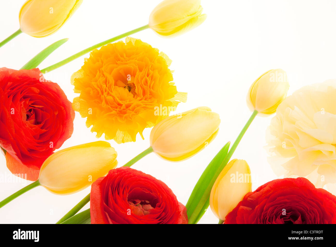 Lightning technique hi-res stock photography and images - Alamy