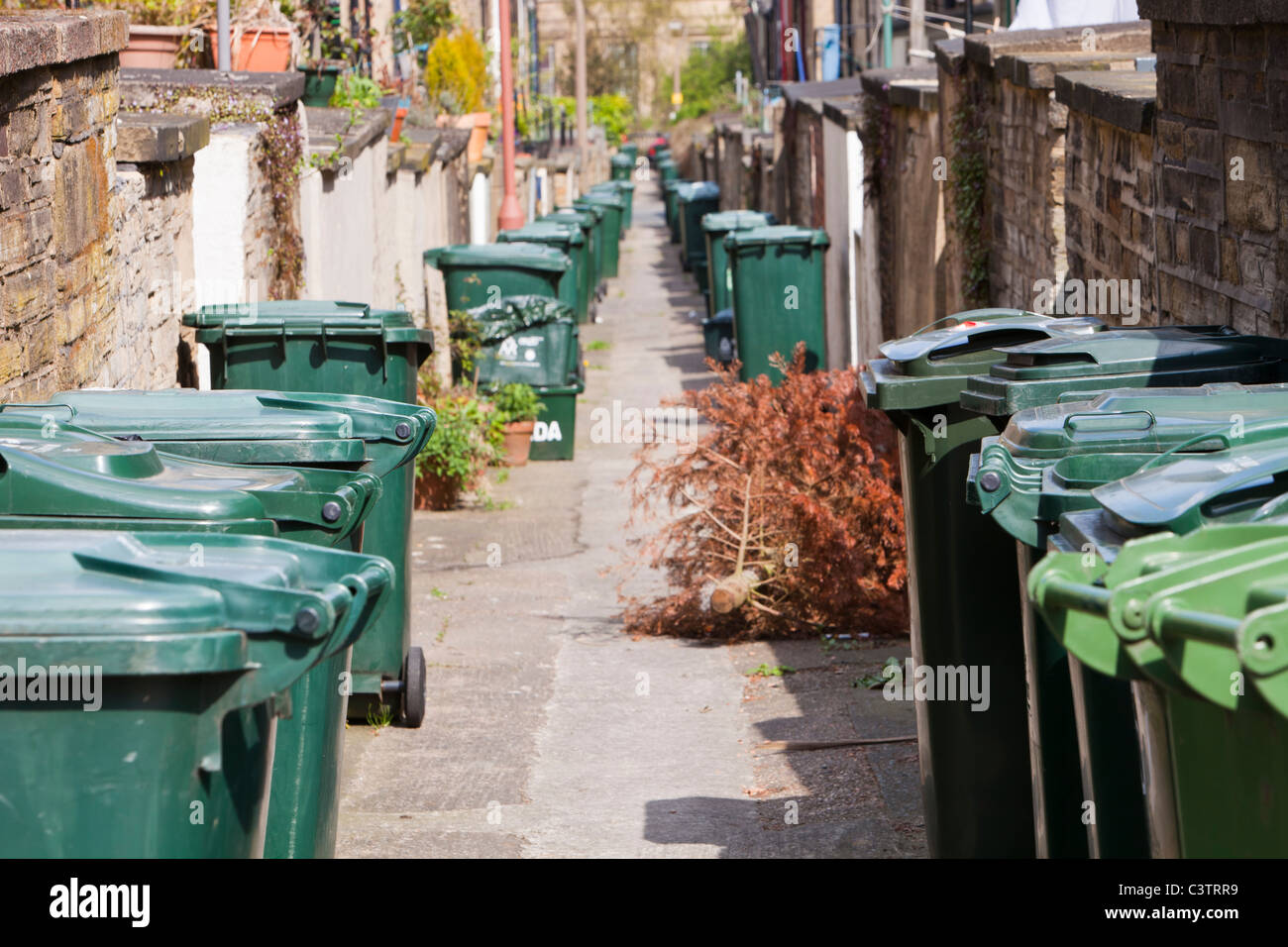 Rubbish bins on a back alley between terraced houses in Saltaire, Yorkshire, UK Stock Photo Alamy
