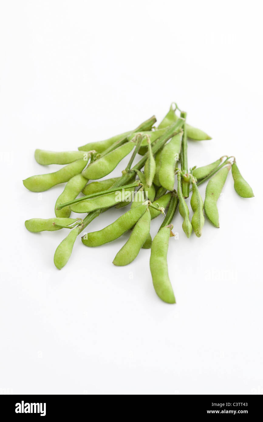 Soybeans Stock Photo