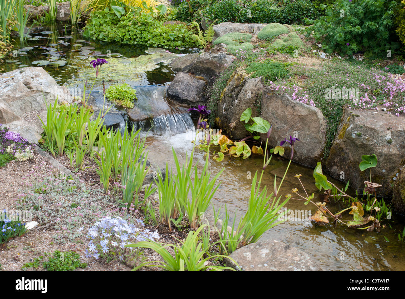 Alpine rock garden with a water feature Stock Photo