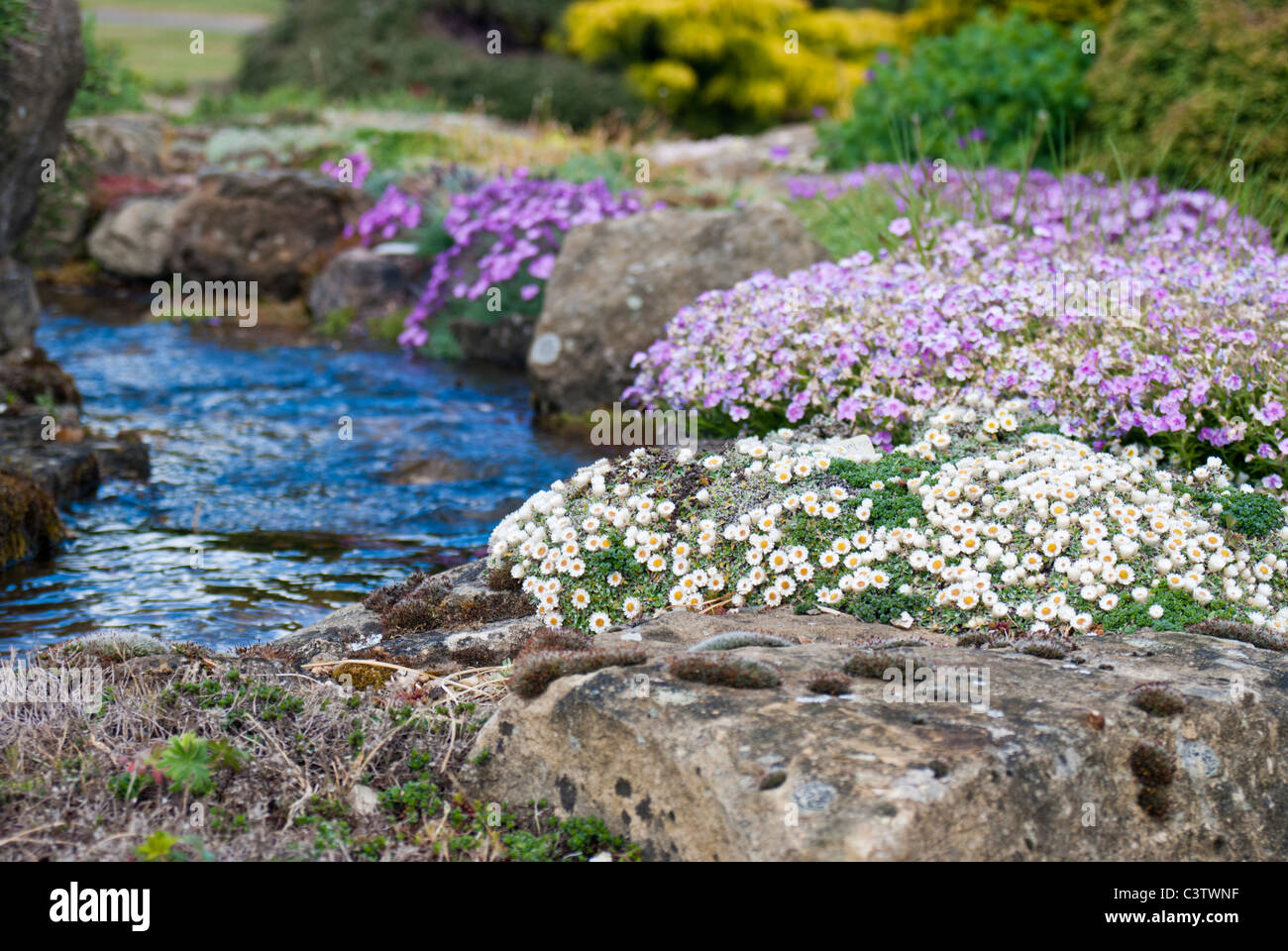 Alpine rock garden with water feature Stock Photo