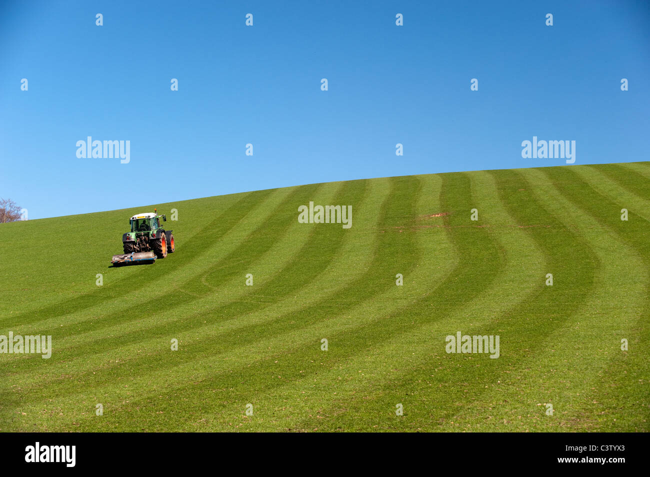 Farmer rolling grassland with Fendt Favorit 716 Stock Photo