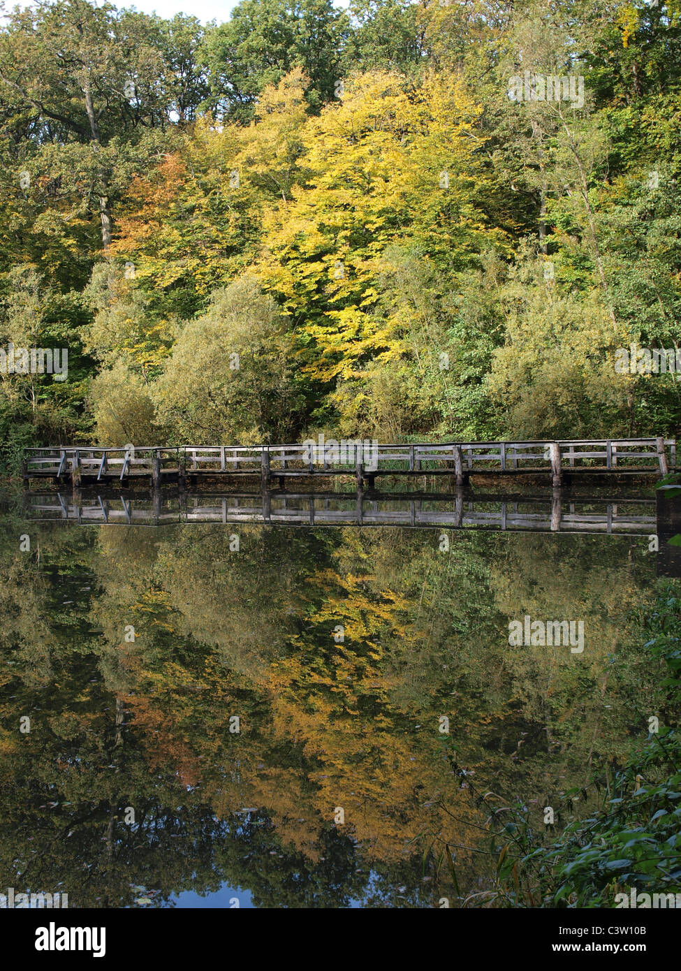A reflection of trees and a walkway in a pond Stock Photo