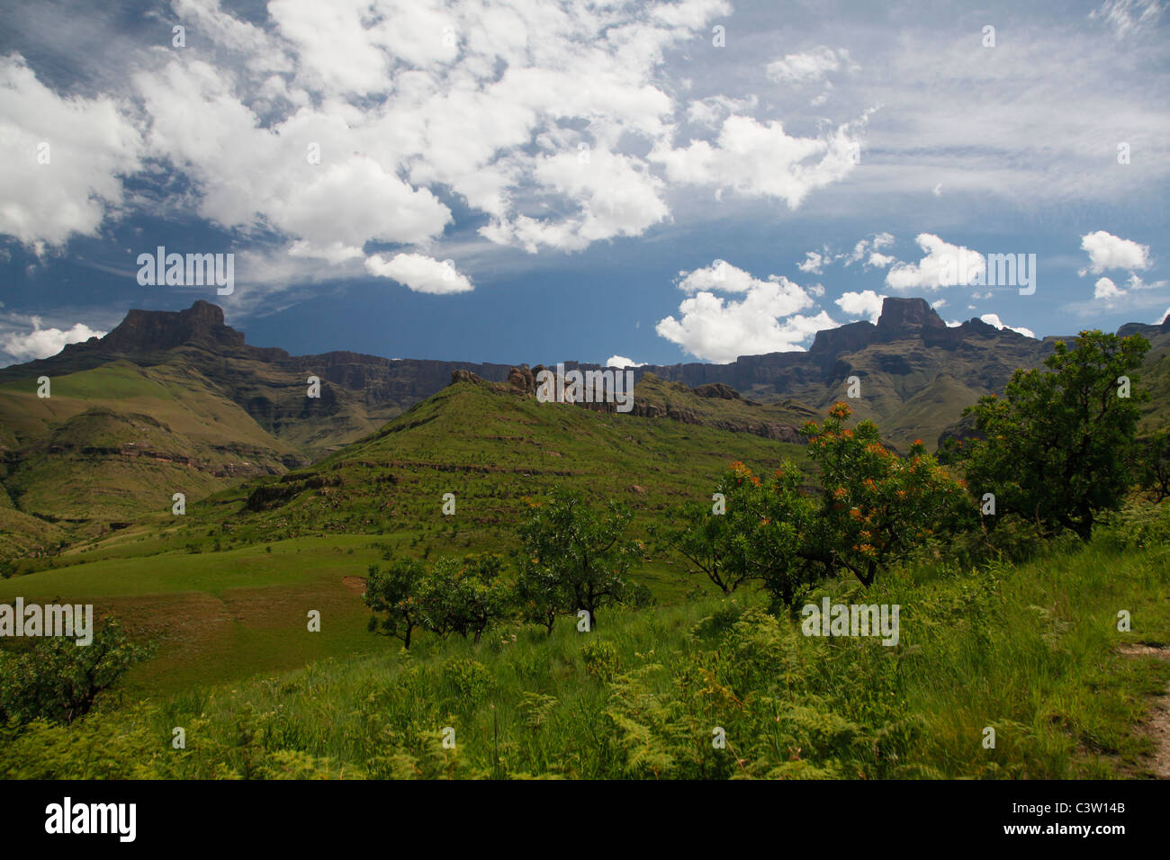 The Northern Drakensberg Mountain range in the Royal Natal National Park, Kwa-Zulu natal, South Africa. Stock Photo