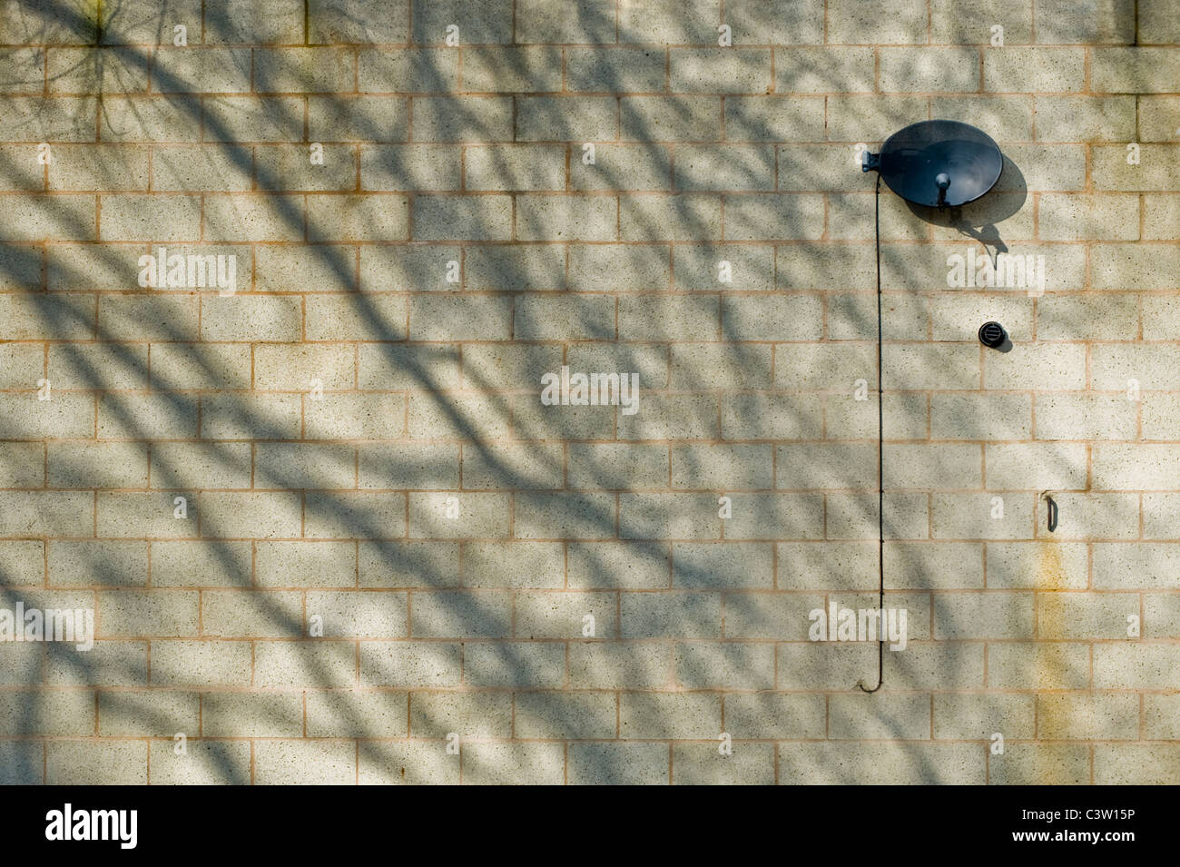 Satellite receiver dish for TV sits installed on a breeze block wall partially shadowed by a leafless tree. Stock Photo