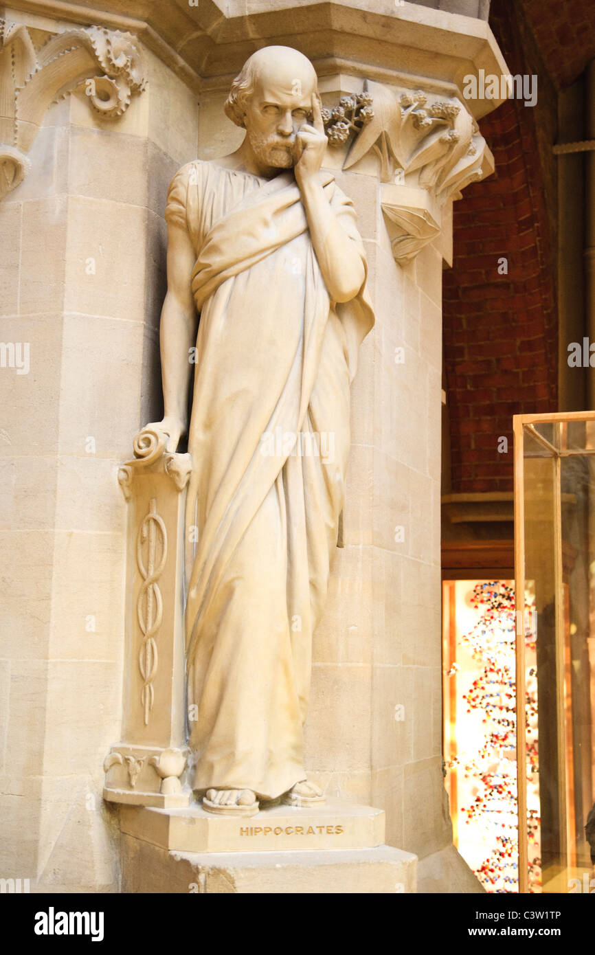 A statue of Hippocrates at the Oxford University Natural History Museum, Oxford, England Stock Photo