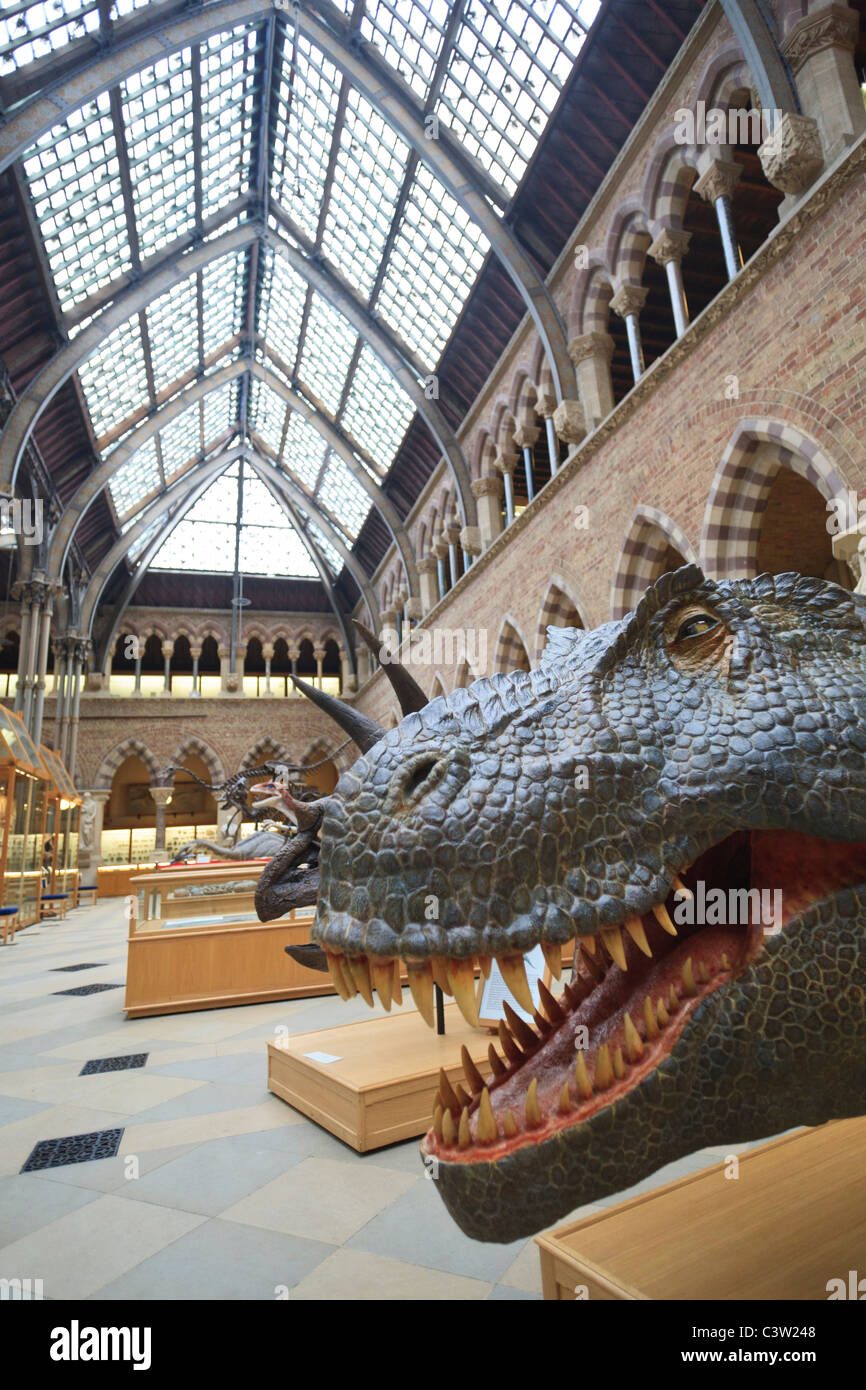 oxford-university-museum-t-rex-hi-res-stock-photography-and-images-alamy