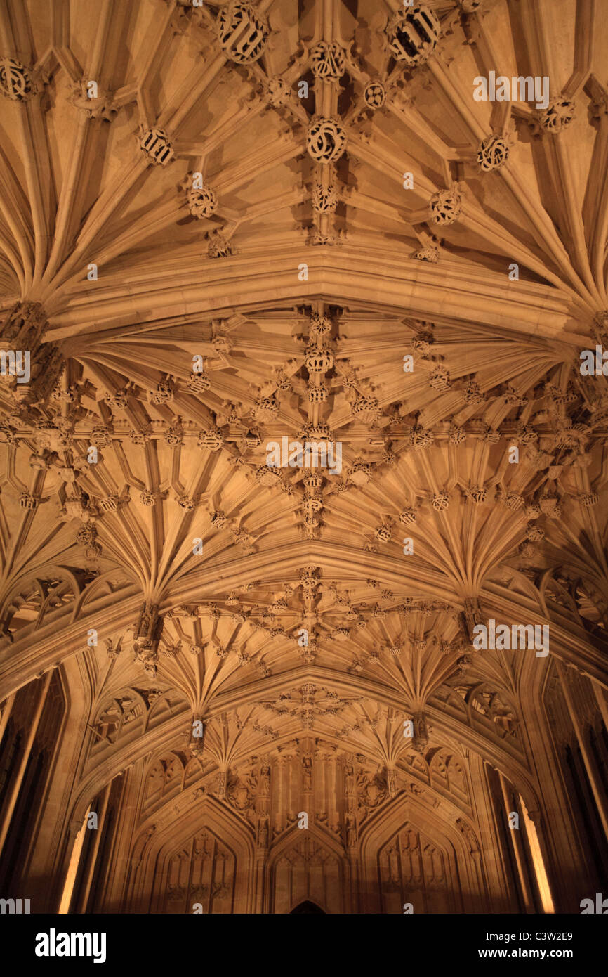 The ceiling of the Divinity School at the Bodleian Library, Oxford University, England Stock Photo