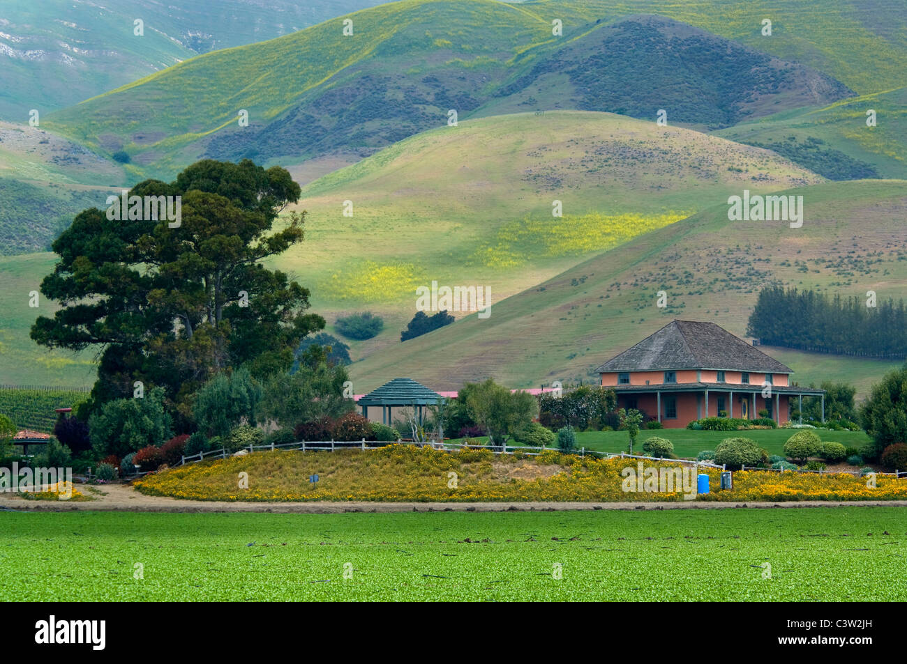 Talley vineyards hires stock photography and images Alamy