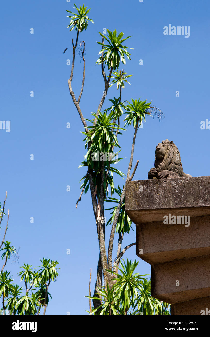 Lion of judah hires stock photography and images Alamy