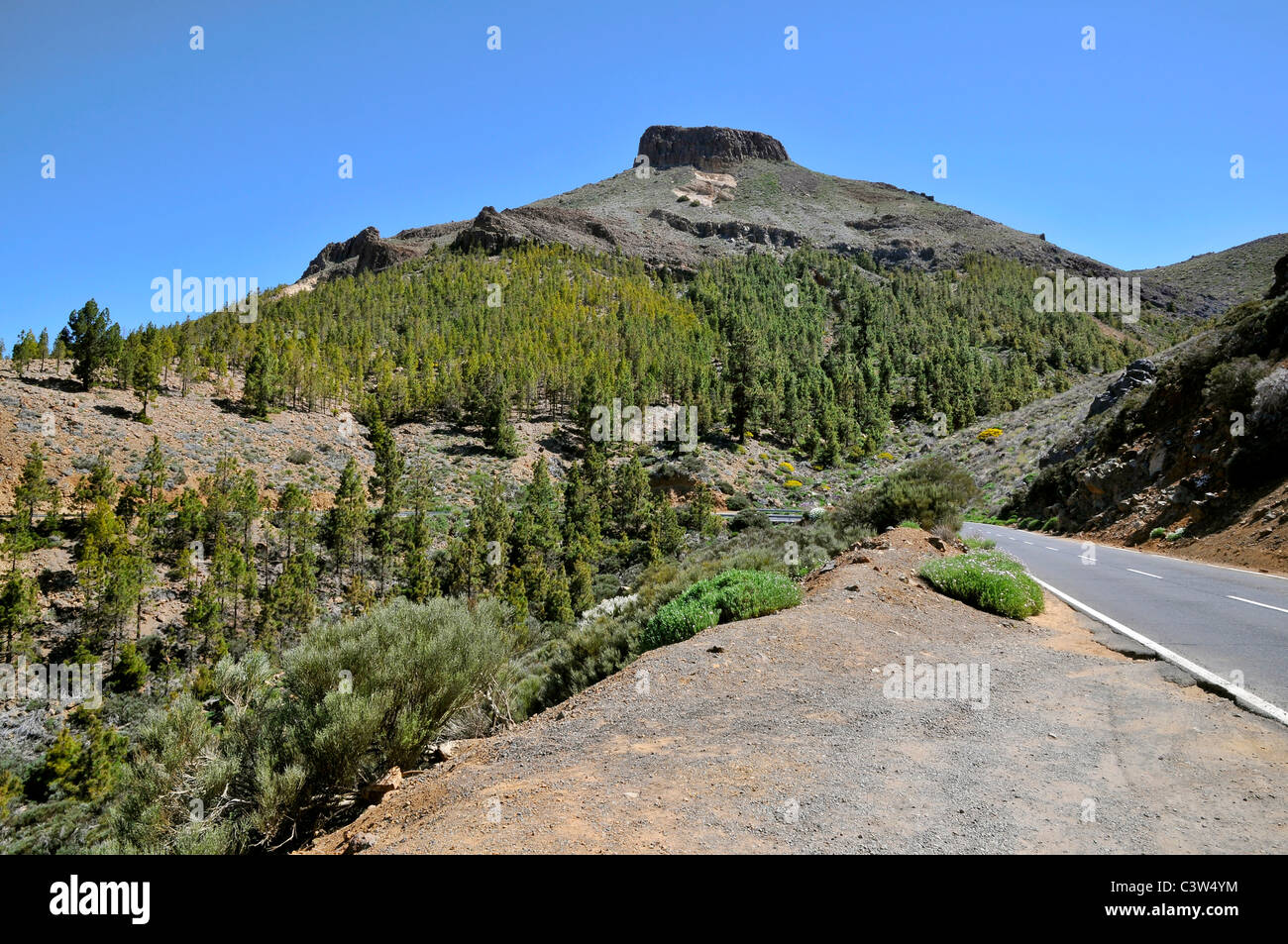 Volcanic peak and pine forest at spanish Tenerife in the Canary Islands Stock Photo