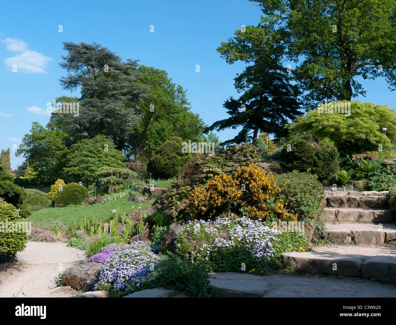 Royal Horticultural Society  Botanical Gardens, Wisley, United Kingdom Stock Photo