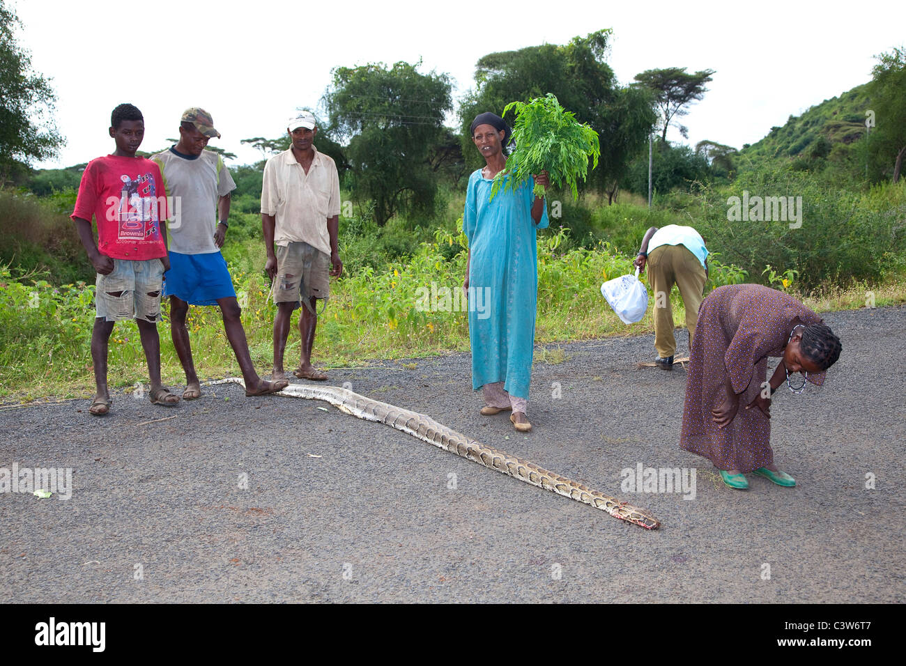 Dead python snake on the road, Arba Minch, Ethiopia, Africa Stock Photo