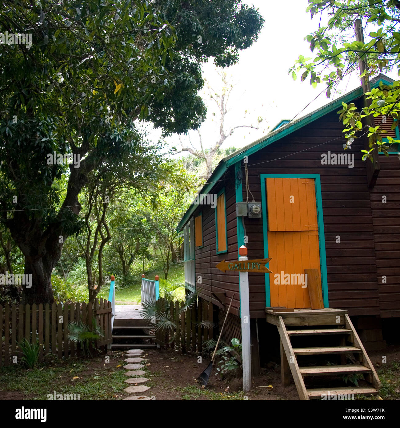 Fig tree drive antigua hires stock photography and images Alamy