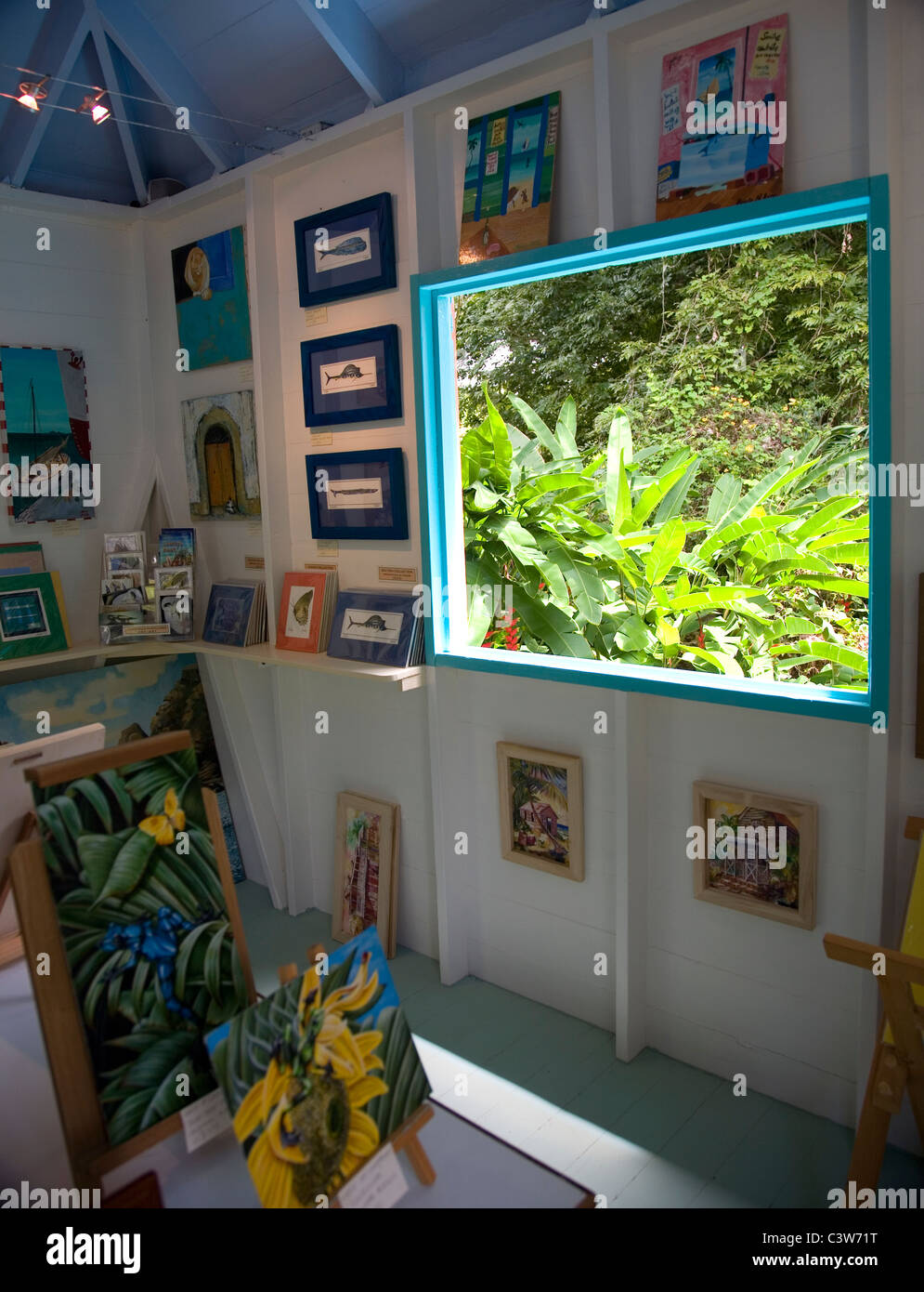 Fig Tree Drive Gallery in Antigua Stock Photo Alamy