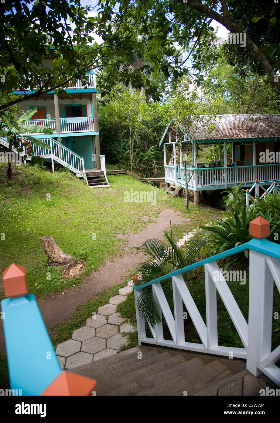 Fig Tree Drive Gallery in Antigua Stock Photo Alamy